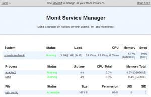 Monit Service Manager