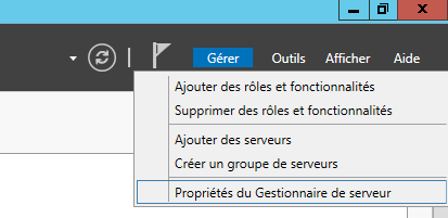 Propriétés du gestionnaire
