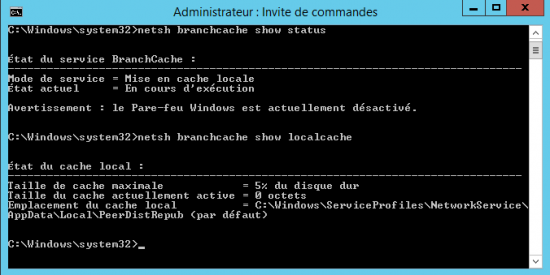 netsh branchcache