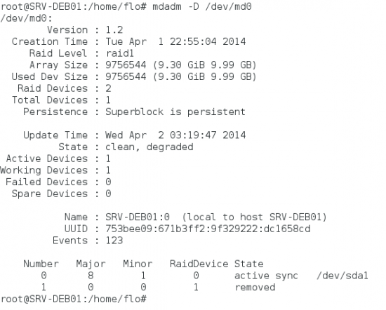 debianraid31