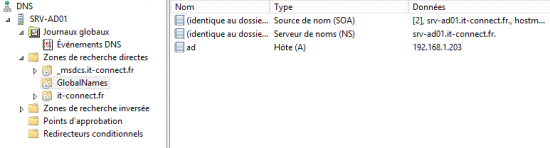 DNS Windows GlobalNames globalnames4