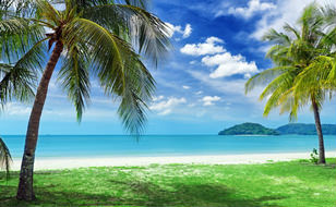 sunny-tropical-beach