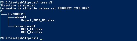Commande tree iisftp4