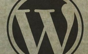logo-wordpress4