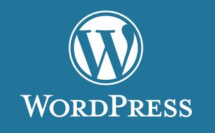 logo-wordpress5
