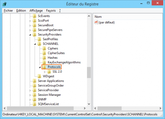 IIS Protocols ssliis2