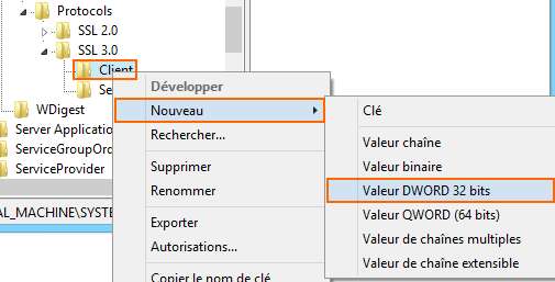 créer nouvelle valeur dword regedit ssliis4