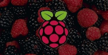 raspberry-093