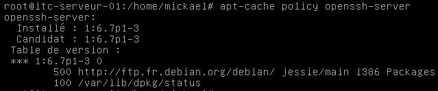 check-installation-ssh-debian