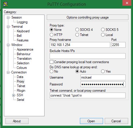 utilisation-avancee-putty-010