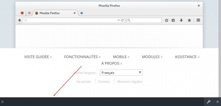 barre-developpeur-firefox-cookies-01