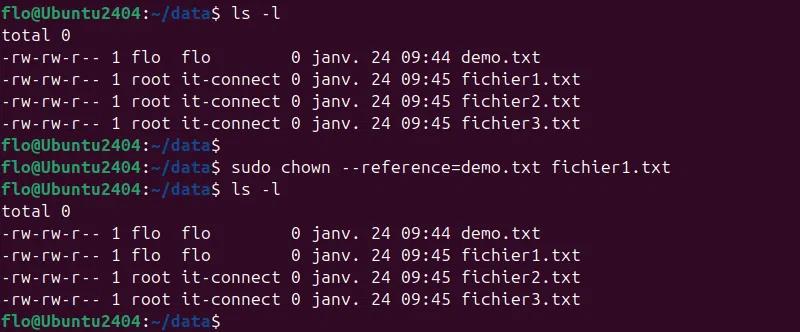 Linux - Commande chown - Exemple avec un fichier de référence