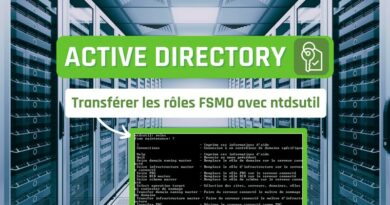 Active Directory - Rôles FSMO - ntdsutil