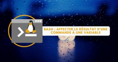 Script Bash - Affecter le résultat d'une commande à une variable