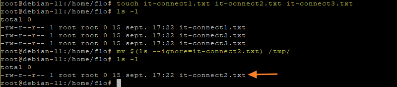 Commande mv avec exclusion sur un fichier