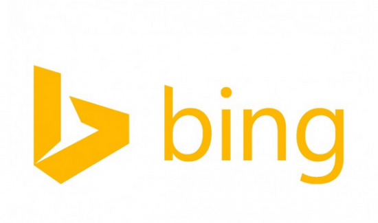 cover-bing