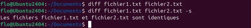 Comparer 2 fichiers identiques avec diff sur Linux