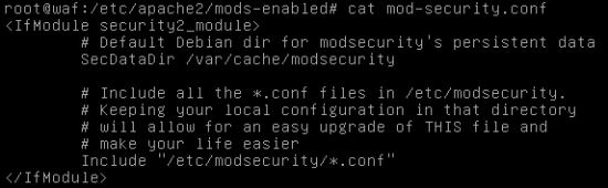 module apache mod_security