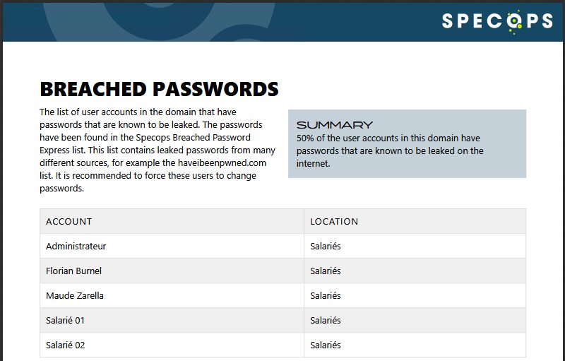 Aperçu du rapport PDF généré par Specops Password Auditor