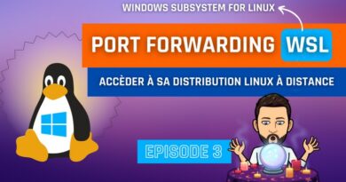 WSL Port Forwarding Windows 10