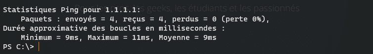 Statistiques du ping