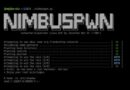 Linux Nimbuspwn