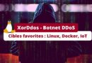 Microsoft surveille XorDdos, un botnet DDoS qui infecte les serveurs Linux via SSH