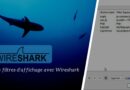 Wireshark et les filtres d’affichage