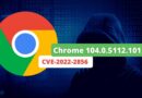 Google Chrome 104 - CVE-2022-2856