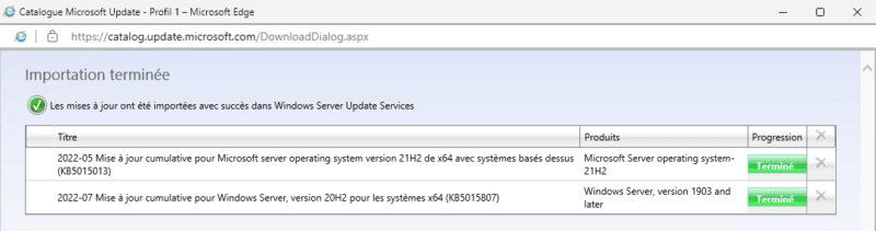 Résultats de l'import via Microsoft Catalog