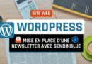 Tutoriel WordPress Sendinblue Newsletter