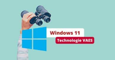 Windows 11 - Bug VAES - Perte des données