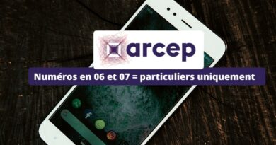 Arcep - Numéros 06 et 07 pour les particuliers