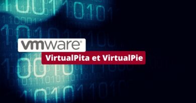 VMware ESXi - VirtualPita et VirtualPie