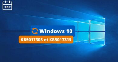 Windows 10 - KB5017308 et KB5017315