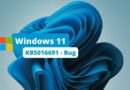 Windows 11 - KB5016691 - Bug