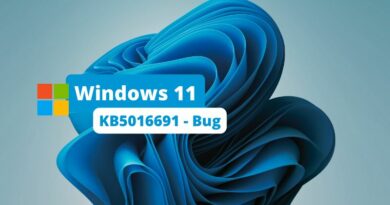 Windows 11 - KB5016691 - Bug