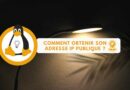 Linux - Obtenir son adresse IP publique terminal