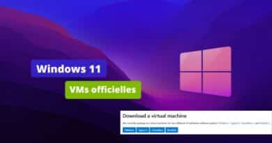 Windows 11 - VM Microsoft