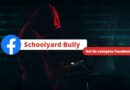 Vol de comptes Facebook - Schoolyard Bully - 2022