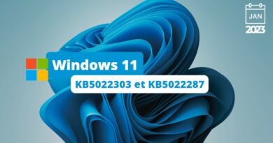 Windows 11 KB5022303 et KB5022287