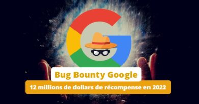Bug Bounty Google - Synthèse 2022