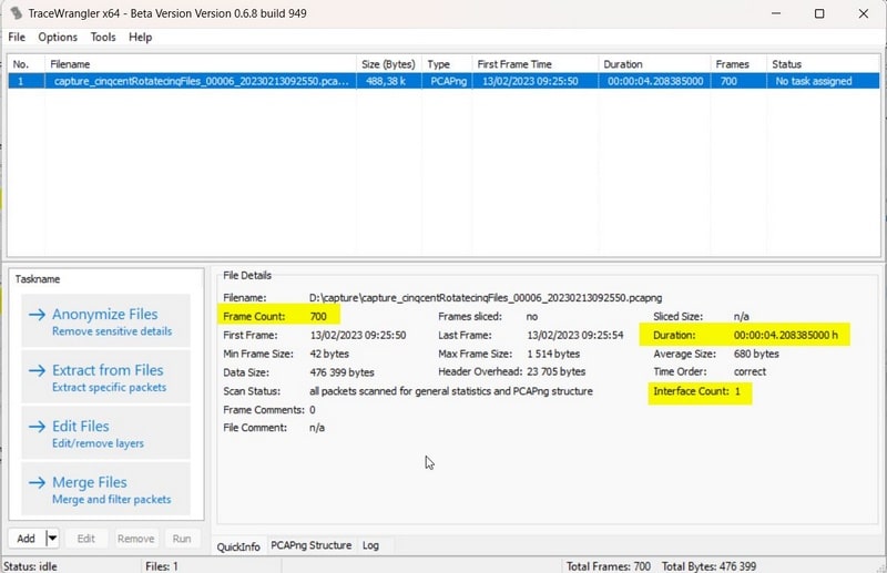 Fichier PCAP chargé dans TraceWrangler