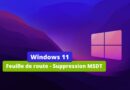 Windows - Feuille de route - Suppression MSDT