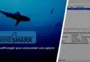 Wireshark - TraceWrangler - Anonymiser un fichier de capture