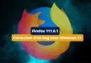 Firefox plante sur Windows 11 - Mars 2023