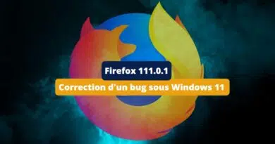 Firefox plante sur Windows 11 - Mars 2023