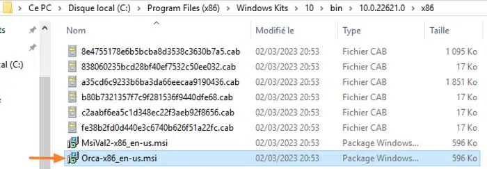 Installer ORCA sur Windows