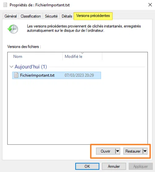 Versions précédentes sur un fichier