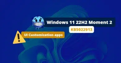 Windows 11 22H2 Moment 2 - Problème UI Customization apps